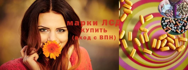 шишки Абинск