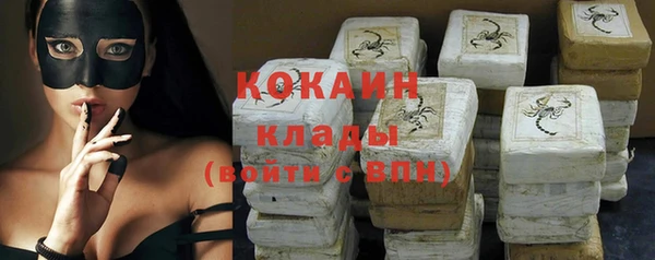 шишки Абинск
