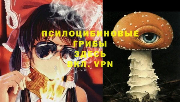 мяу мяу мука Абдулино