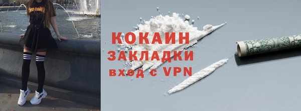шишки Абинск